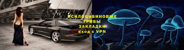 амф Володарск