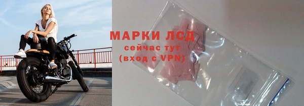 амф Володарск